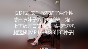 《极品反差婊☀️私拍》万人求档OnlyFans上流高颜气质女神【奥义】不雅私拍第二部☀️金主们的精盆泄欲器3P视觉盛宴 (9)