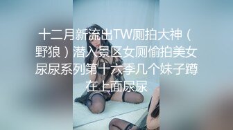 十二月新流出TW厕拍大神（野狼）潜入景区女厕偷拍美女尿尿系列第十六季几个妹子蹲在上面尿尿