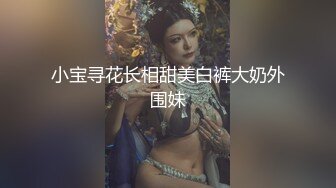 91大神『Goporno』新作甄选《高颜扫街实录》操遍红颜一姐 中文配字