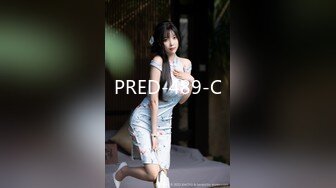 PRED-489-C