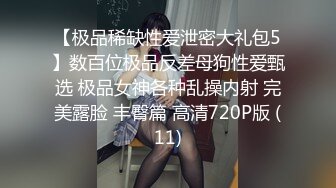 中秋玉兔滿足你的性願