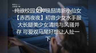 小情人骚的很