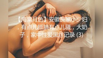 【海棠月色】安徽良家小少妇，有点儿腼腆有点儿骚，大奶子，家中性爱黑丝记录 (3)