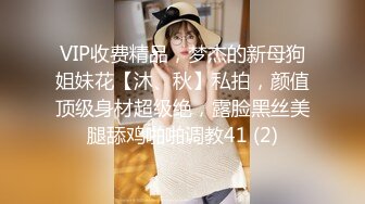 VIP收费精品，梦杰的新母狗姐妹花【沐、秋】私拍，颜值顶级身材超级绝，露脸黑丝美腿舔鸡啪啪调教41 (2)