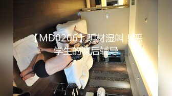 【MD0206】阴材湿叫！恶学生的课后辅导