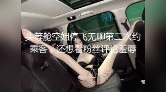 SONE-456 巨乳美女是肉玩具隨我調教任我插還可以...(AI破壞版)