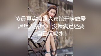 91新人淮左刘郎-想尽各种方法折磨美女空姐