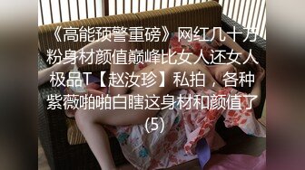 后入极品熟女