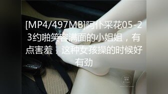 [MP4/497MB]阿仆采花05-23约啪笑容满面的小姐姐，有点害羞，这种女孩操的时候好有劲