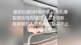 【三级】《小镇性狂欢派对指南》