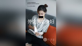 外企高管少妇