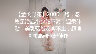 [2DF2] 【唐伯虎来探花】极品车模女神降临，美腿黑丝翘乳，温柔可人物超所值[MP4/112MB][BT种子]