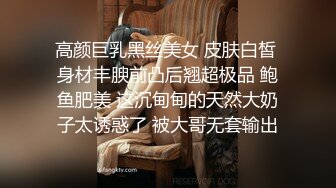 长年爱した妻も、勤め上げてきた会社も…、 全てを舍てた俺はW不伦に溺れて 一色桃子