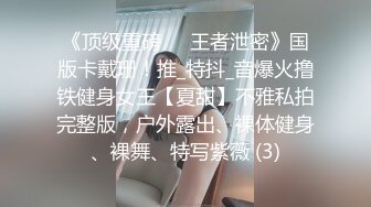 酒后后入老婆2