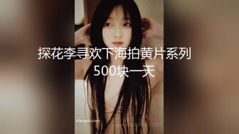 探花李寻欢下海拍黄片系列❤️500块一天