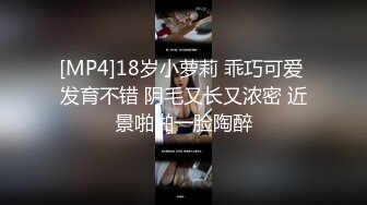 顶级性爱视觉盛宴④！淫趴大神【醉奶逃逸】双飞4P两位极品身材骚女，各种帝王式玩法，人体蜈蚣叠插排插惊爆眼球 (4)