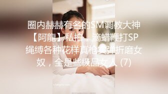 皇家华人 KM-003《AV演员的自我修养》