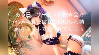 ある日、サークルの飲み会でハメられた彼女の寝取られ動画をネットで見つけてしまった僕。