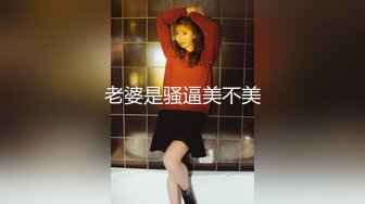 MSD-045女上司骚气反差-袁子仪