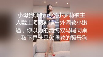 【国产剧情AV麻豆醉酒欲女邻居意外进错房性感诱