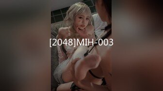 [2048]MIH-003