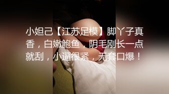 (麻豆傳媒)(mfk-0020)(20230906)嫂子的誘惑