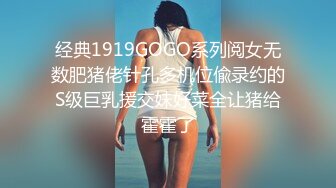 经典1919GOGO系列阅女无数肥猪佬针孔多机位偸录约的S级巨乳援交妹好菜全让猪给霍霍了