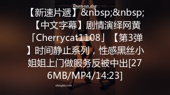 【新速片遞】&nbsp;&nbsp; 【中文字幕】剧情演绎网黄「Cherrycat1108」【第3弹】时间静止系列，性感黑丝小姐姐上门做服务反被中出[276MB/MP4/14:23]