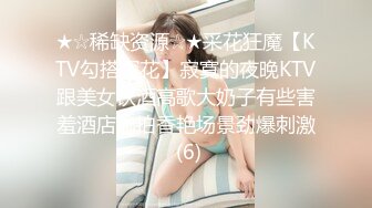 ★☆稀缺资源☆★采花狂魔【KTV勾搭探花】寂寞的夜晚KTV跟美女饮酒高歌大奶子有些害羞酒店偷拍香艳场景劲爆刺激 (6)