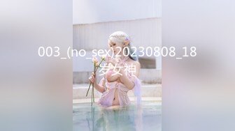 极品巨乳女神沈芯语11部经典视频增强合集【11V】 (2)