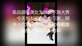 [MP4]良家极品美少女性感短裙手拿小鞭子肉感身材蹲地深喉灰丝高跟鞋